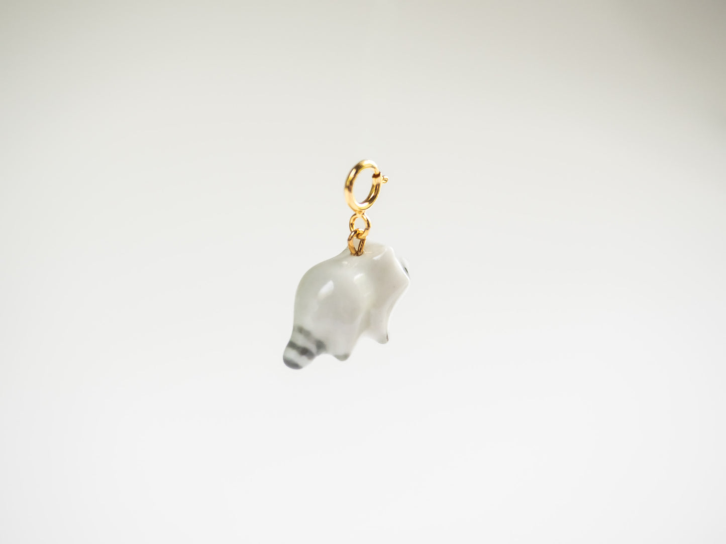Racoon Charm