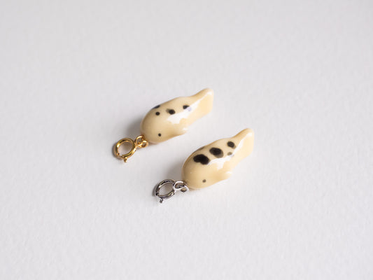 Ki Utsuri Koi Charm