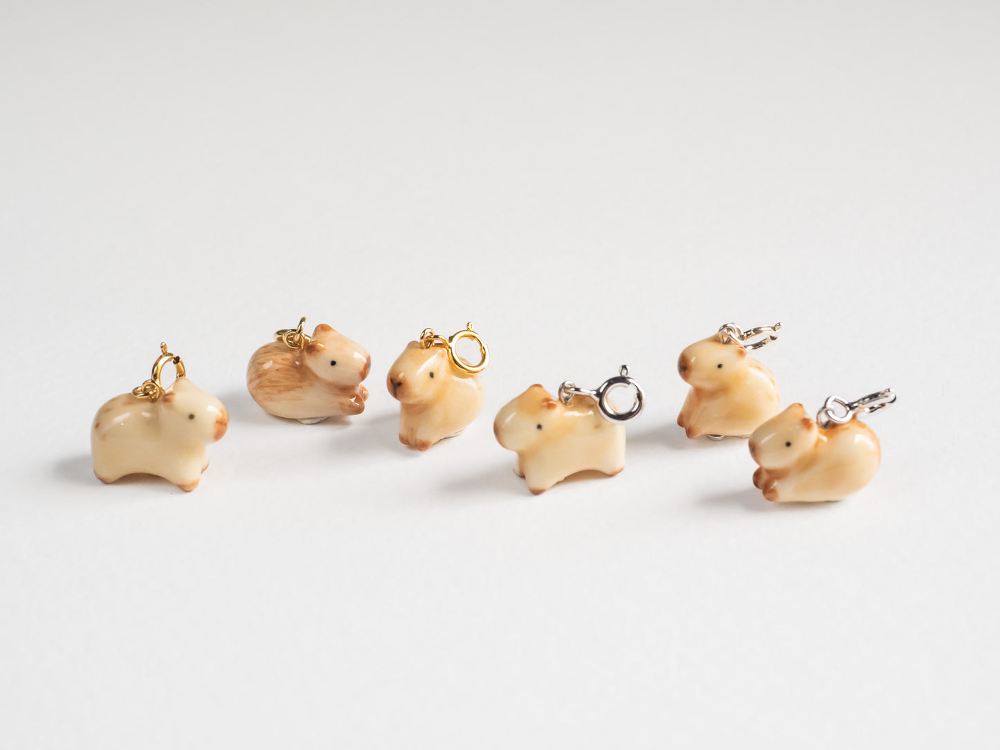 Capybara Charm