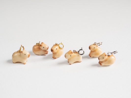 Capybara Charm
