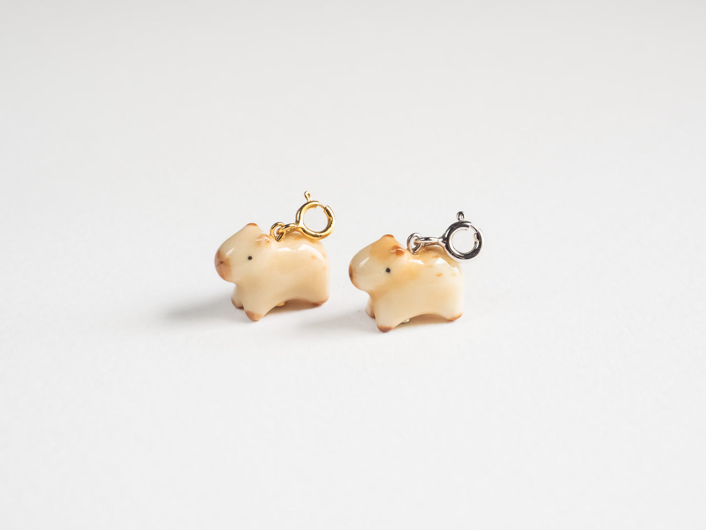 Capybara Charm