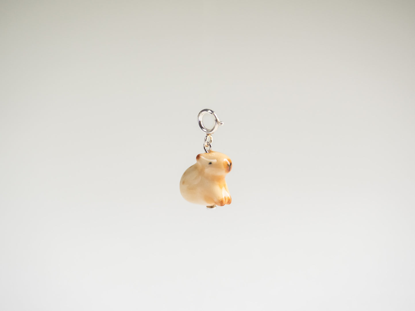 Capybara Charm