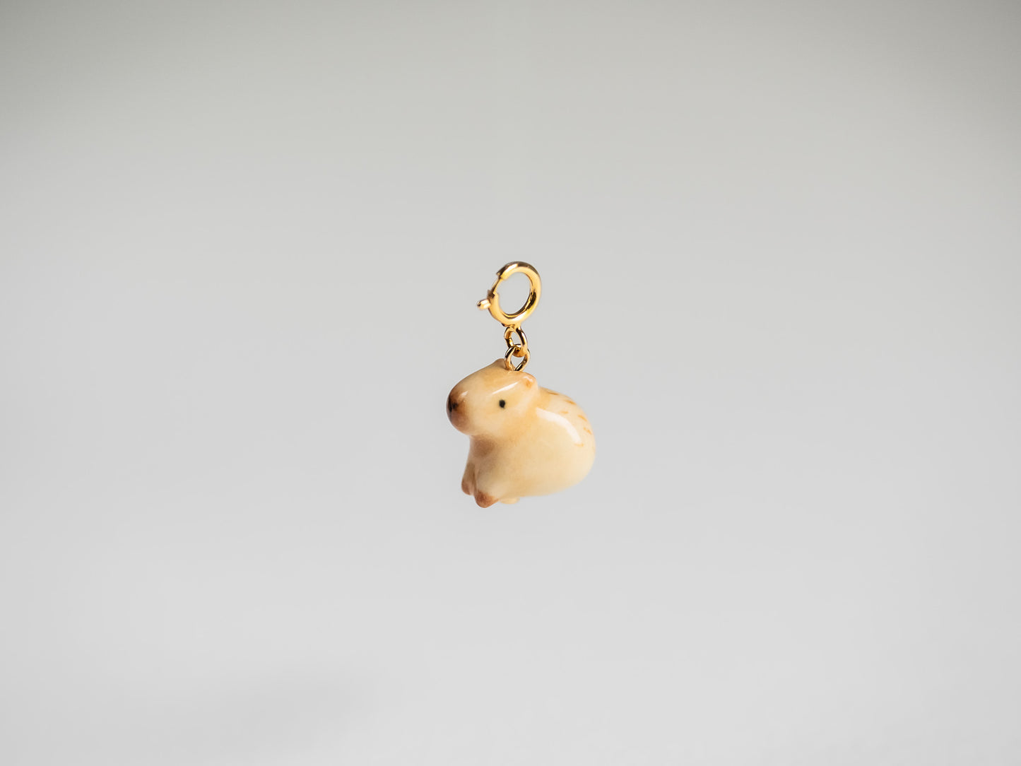 Capybara Charm