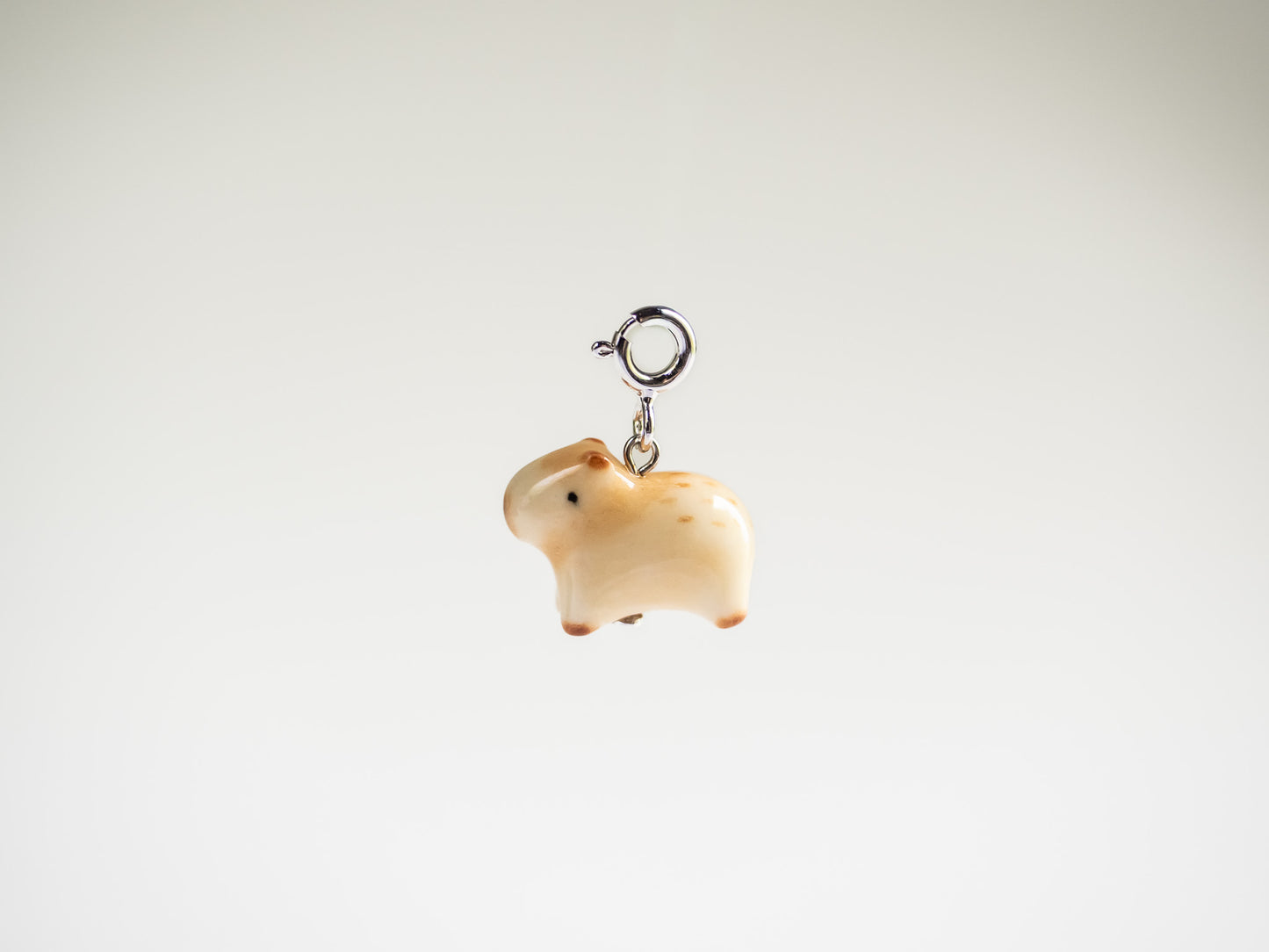 Capybara Charm