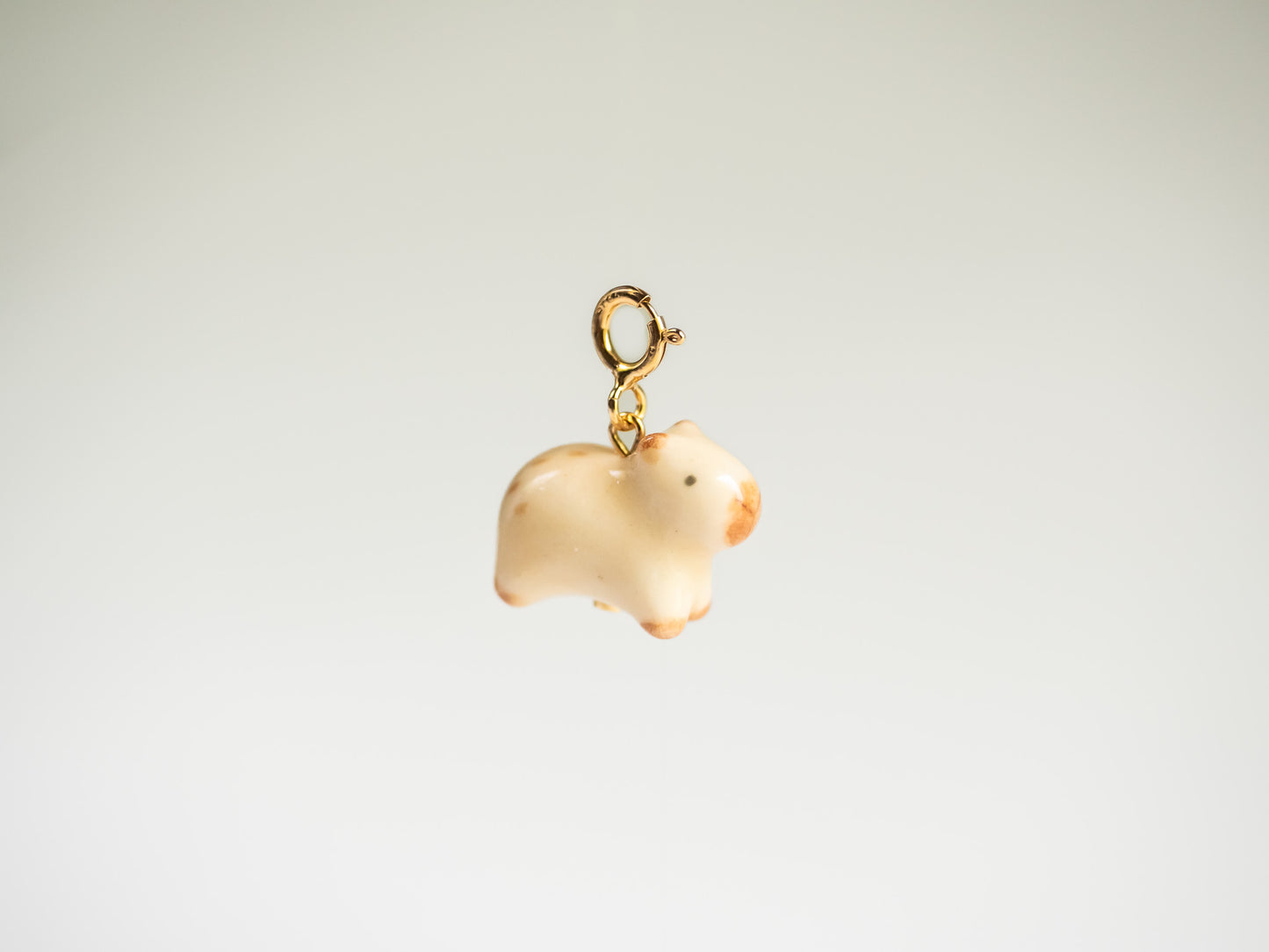 Capybara Charm