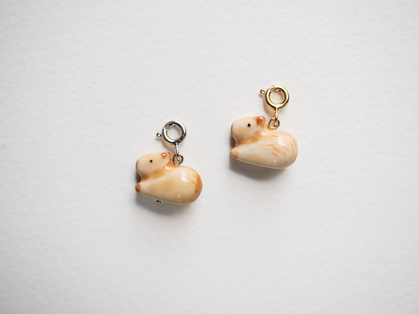 Capybara Charm