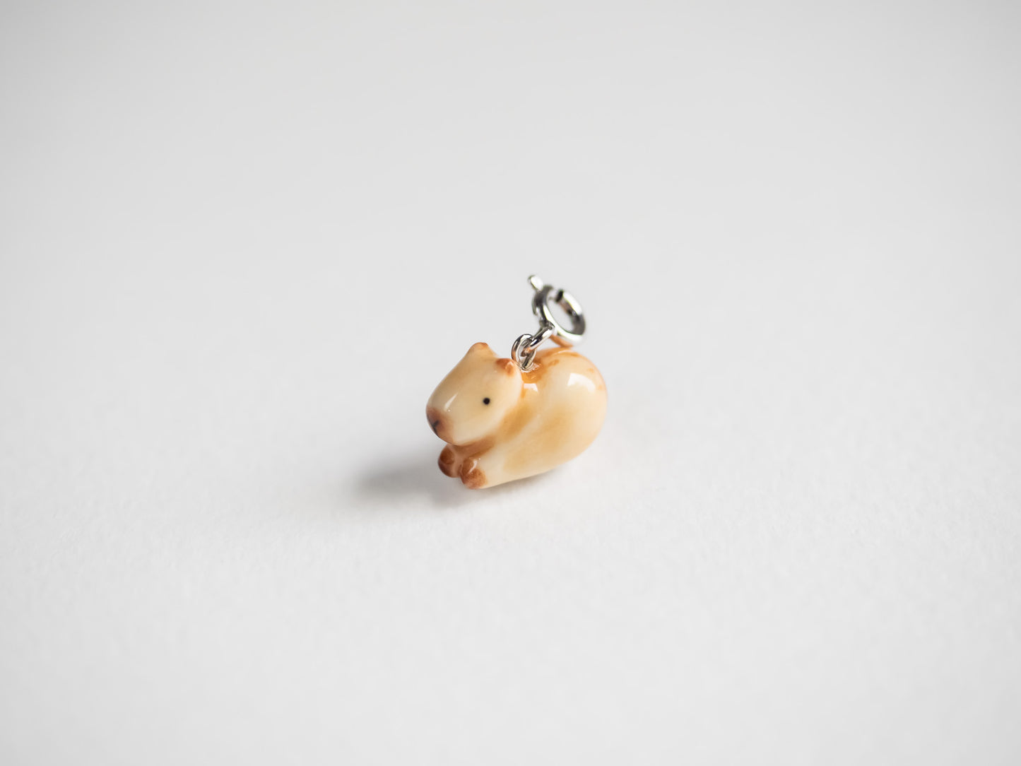 Capybara Charm
