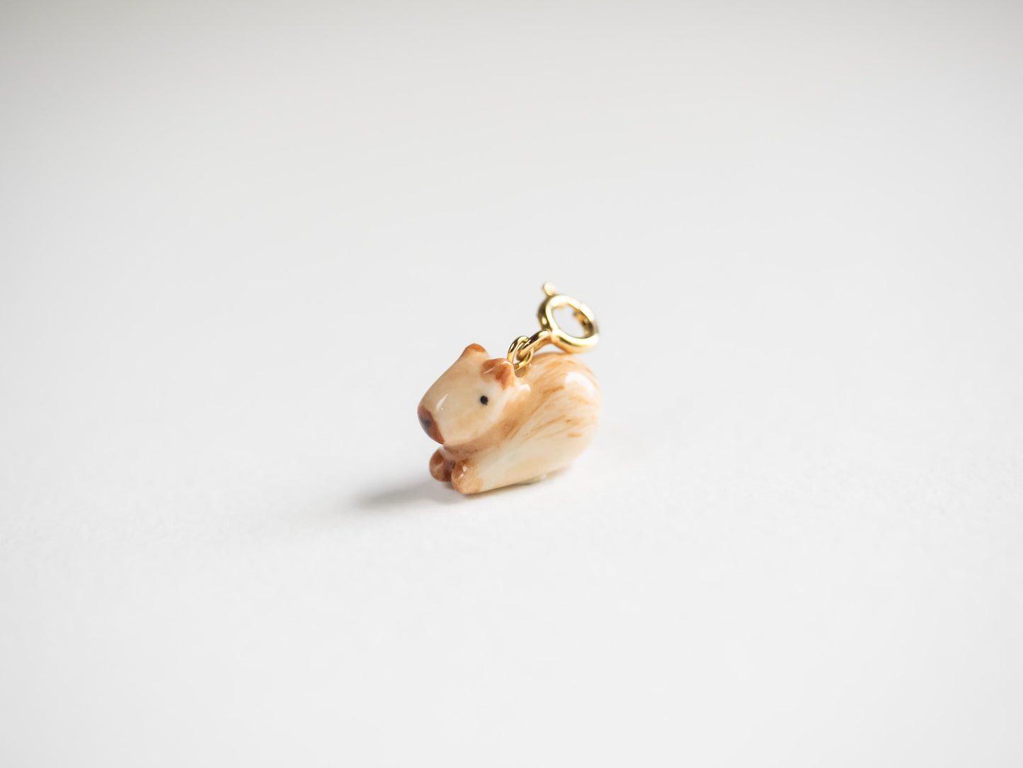 Capybara Charm