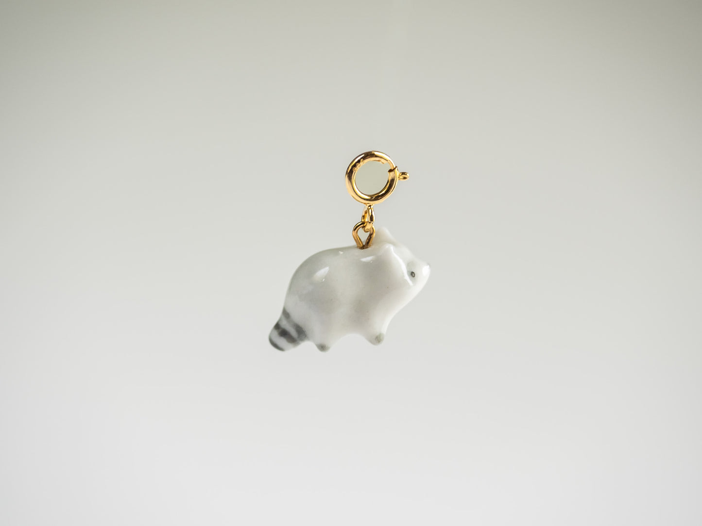 Racoon Charm