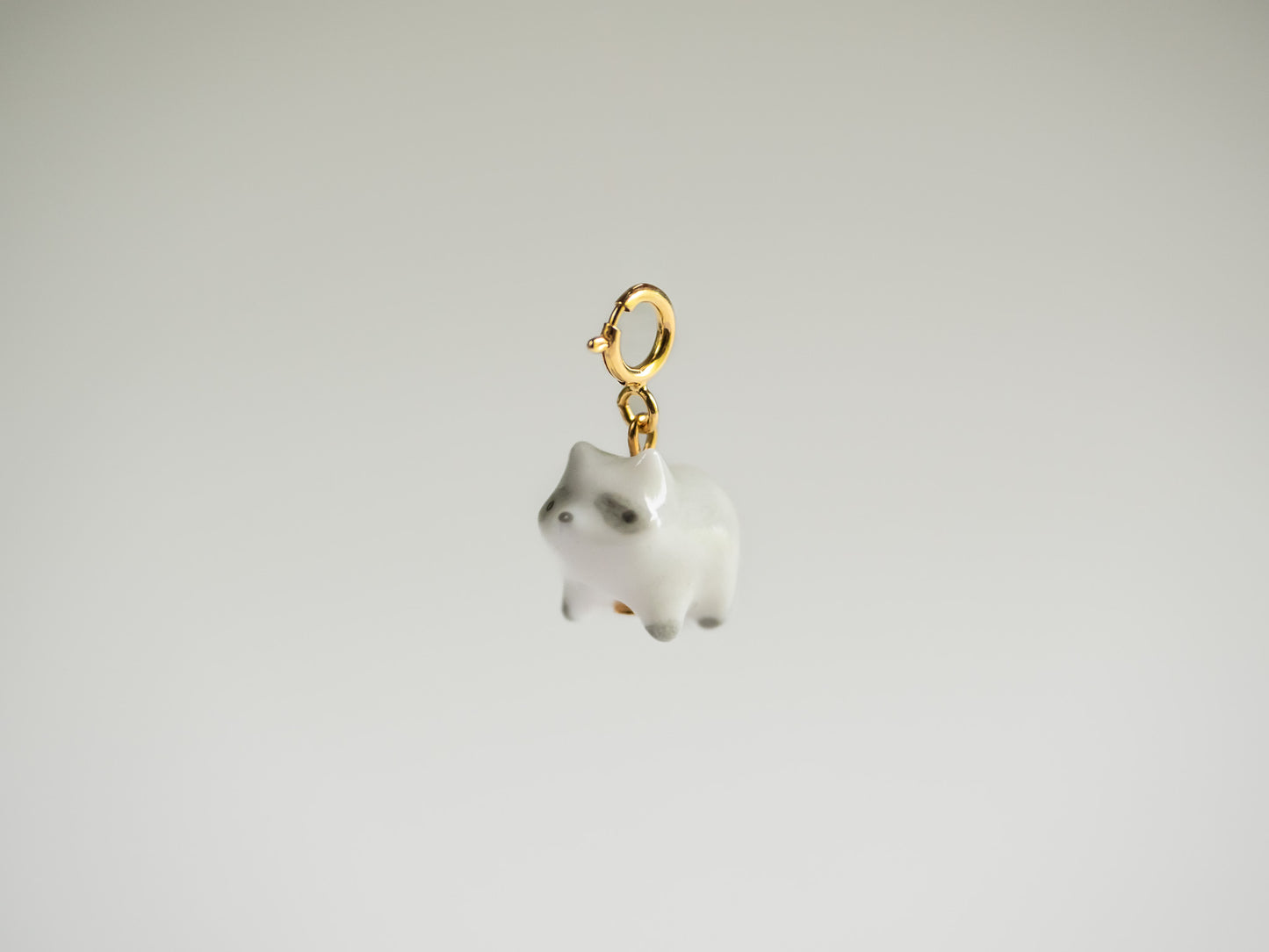 Racoon Charm